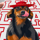 Typo Pet® – Quadro Metálico Personalizado com Foto do Pet