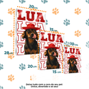 Typo Pet® – Quadro Metálico Personalizado com Foto do Pet
