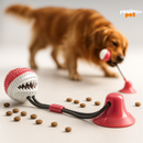 SnackBall – Diversão & Petiscos em Movimento