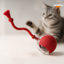 TurboPet Ball – Corre, Gira e Diverte