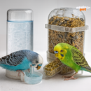 Kit BirdLux Duo – Comedouro + Bebedouro Para Aves Pequeno Porte
