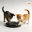 MiauZen – Brinquedo Interativo Antiestresse