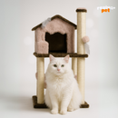 House Miaou: Casa com Rede e Diversão Integrada