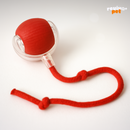 TurboPet Ball – Corre, Gira e Diverte