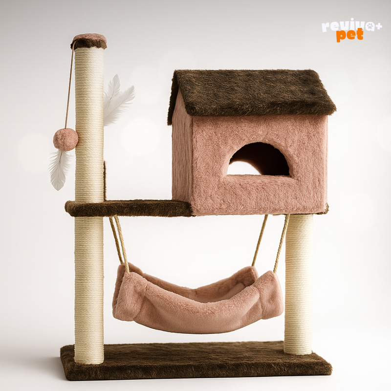 House Miaou: Casa com Rede e Diversão Integrada