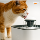 Hidracat 2L: Hidratação contínua para gatos.