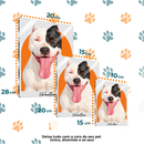 Pet Minimalist® – Quadro Metálico Personalizado com Foto do Pet