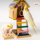 VoaViva Playground – O cantinho dos sonhos para o seu pássaro