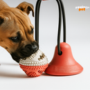 SnackBall – Diversão & Petiscos em Movimento