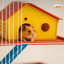 Hamster Palace 3D – luxo, espaço e alegria em cada andar!