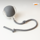 TurboPet Ball – Corre, Gira e Diverte