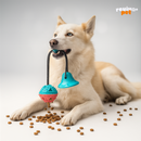 SnackBall – Diversão & Petiscos em Movimento