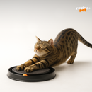 MiauZen – Brinquedo Interativo Antiestresse