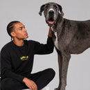PetPower® – Moletom Careca Unissex Personalizado com Foto do Pet