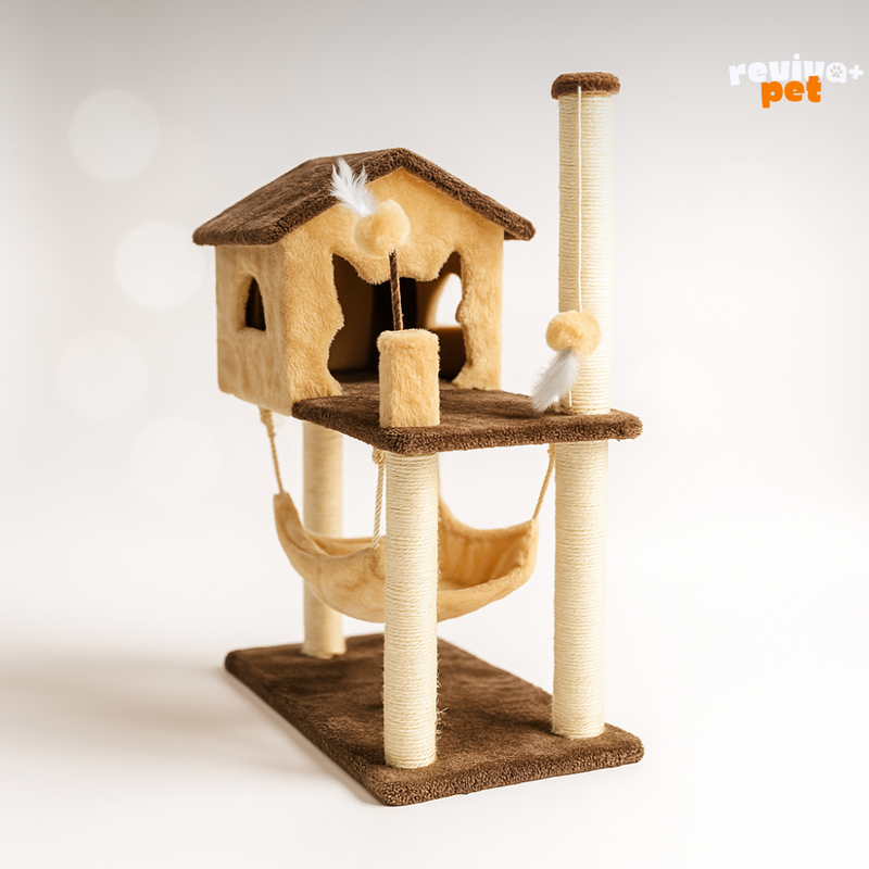 House Miaou: Casa com Rede e Diversão Integrada