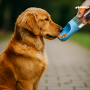 PetH2O Go — Hidrate e Alimente seu pet em qualquer lugar.