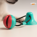 SnackBall – Diversão & Petiscos em Movimento