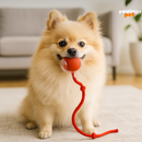 TurboPet Ball – Corre, Gira e Diverte