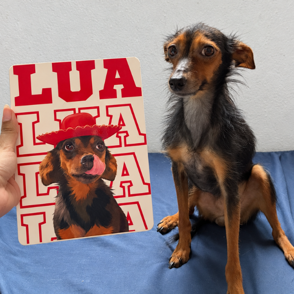 Typo Pet® – Quadro Metálico Personalizado com Foto do Pet