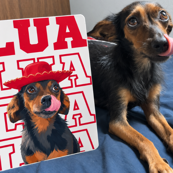 Typo Pet® – Quadro Metálico Personalizado com Foto do Pet