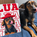 Typo Pet® – Quadro Metálico Personalizado com Foto do Pet