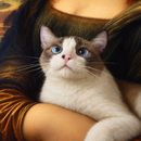 Quadro