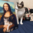 Quadro
