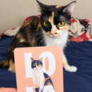 Pet Poster® – Quadro Metálico Personalizado com Foto do Pet