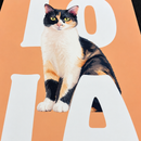 Pet Poster® – Quadro Metálico Personalizado com Foto do Pet